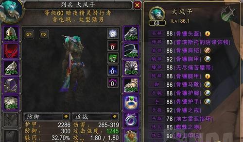 盗贼搭配心得（如何选择最优秀的盗贼装备？）