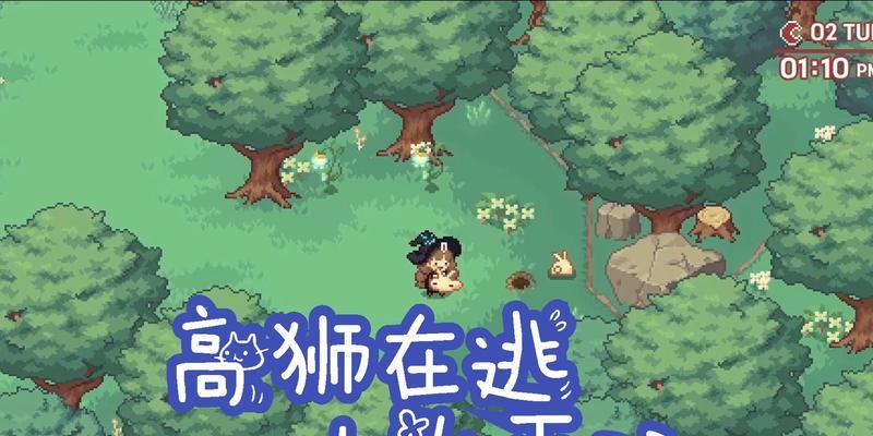 《林中小女巫玻璃瓶获得方法大全》（探索神秘森林，收集足够材料，制作属于自己的玻璃瓶）