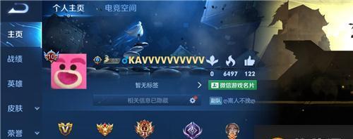 《荣耀全皮肤账号的价值分析》（以游戏为主）