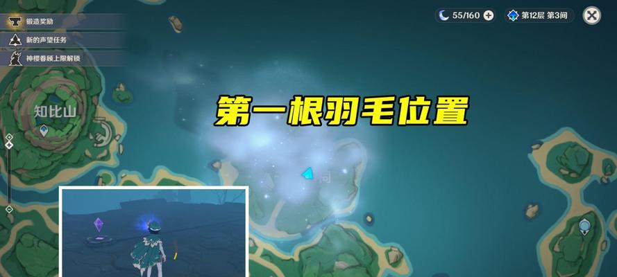 《原神》逢岳之野栖木羽毛位置一览（探索世界）