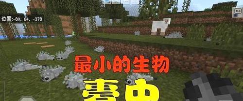 《我的世界》蠹虫攻略（如何应对蠹虫生成的威胁）