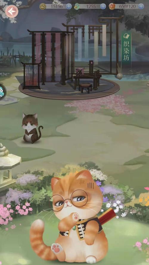 探索灵猫世界（从萨菲尔到布偶）