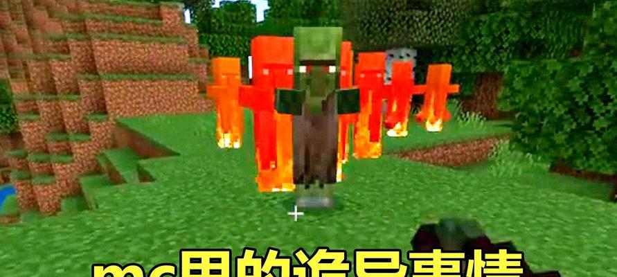 我的世界（打造独一无二的世界）