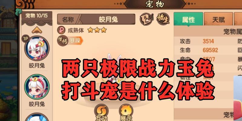 《造梦无双平民带什么宠物好》（游戏中选择最适合平民玩家的宠物）