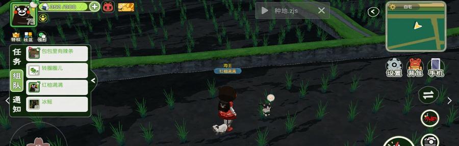小森生活猫咪选美怎么玩？游戏规则和获胜技巧是什么？