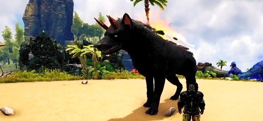地狱犬宝宝在哪里出现？抓取地狱犬宝宝的技巧是什么？