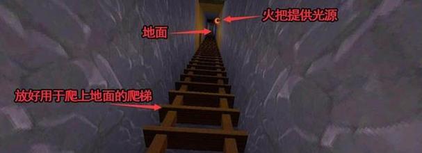 迷你世界果树成长加速方法是什么？