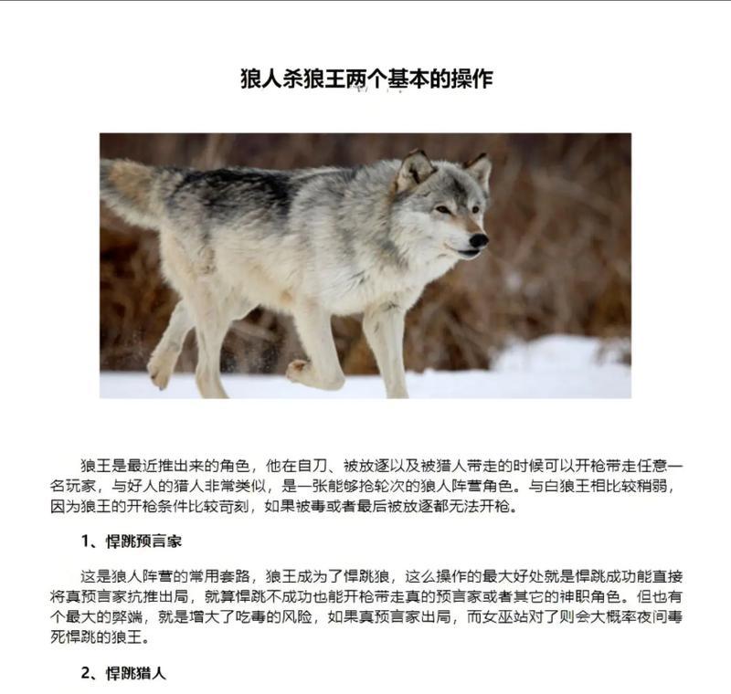 狼王吉尔战斗策略是什么？