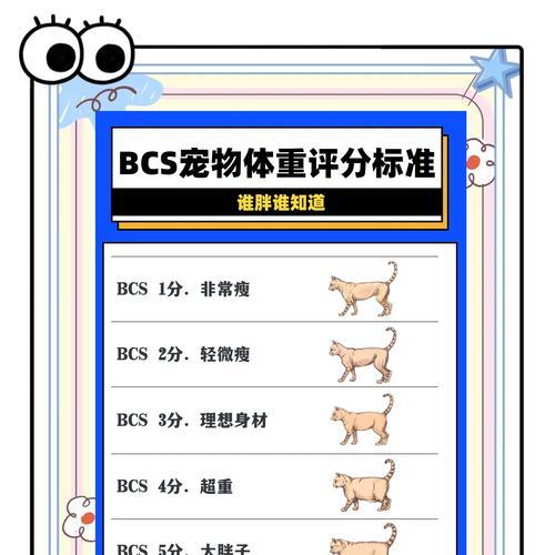 评分等级对宠物能力有何影响？