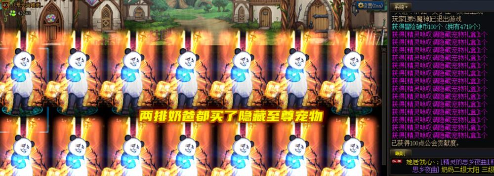 DNF中奶爸角色应该如何选择宠物？