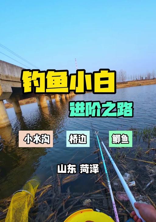 三国杀中的鱼如何进化？进化鱼的条件是什么？