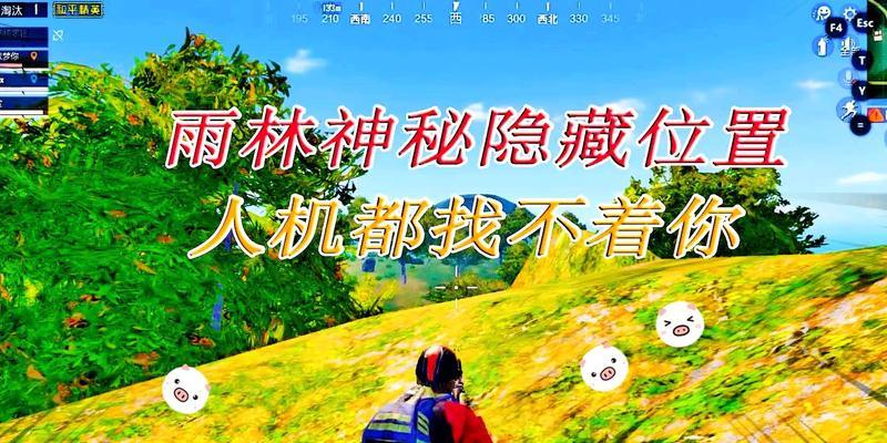 雨林地图中如何有效对抗狙击手？
