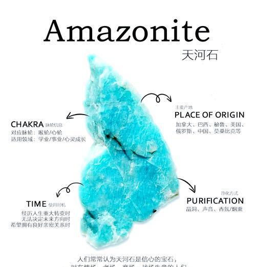 进化石的正确使用方法是什么？