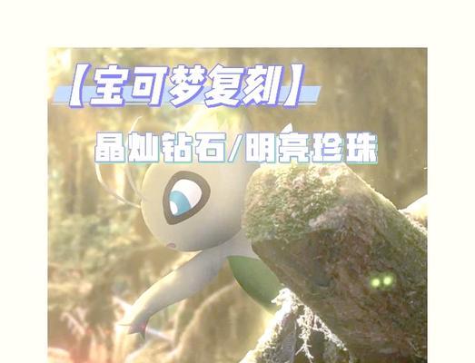 口袋妖怪珍珠如何查看对方属性？有哪些方法？